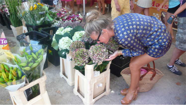 Blumen in St. Tropez